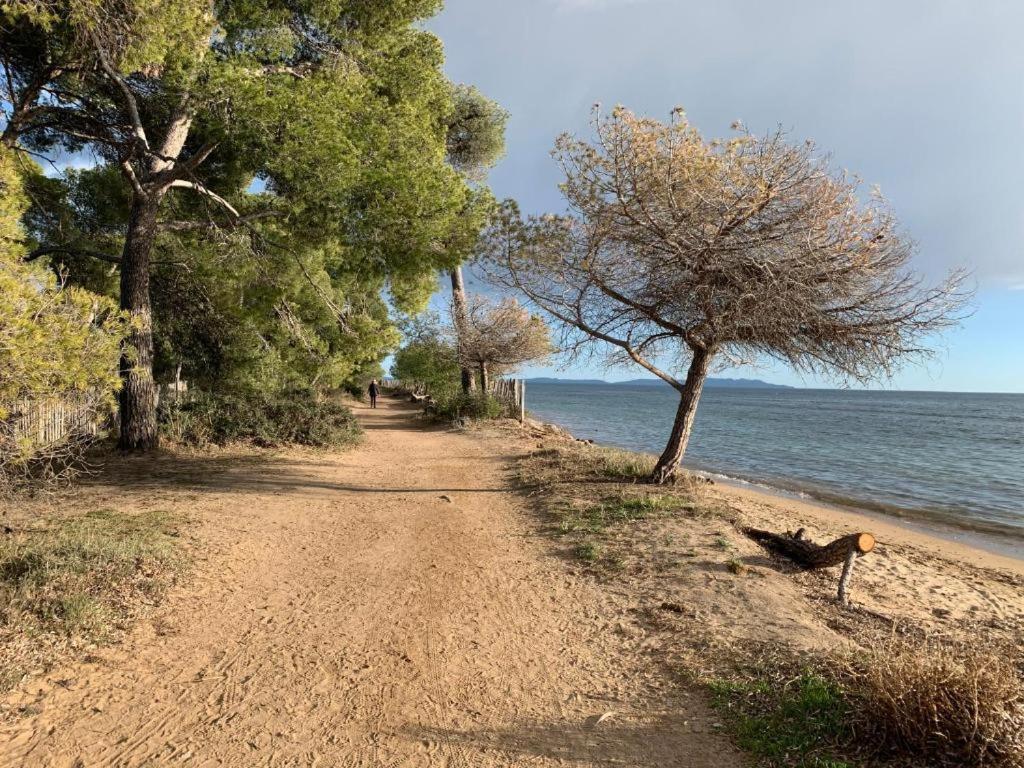 Joli T2 Proche Plage Dans Residence La Londe-les-Maures Extérieur photo